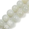 Natural Green Moonstone Beads Strands G-NH0060-A01-03-2