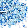 Glass Seed Beads SEED-K010-03D-1