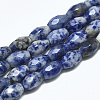 Natural Blue Spot Jasper Beads Strands G-S357-A06-1