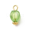 Transparent Acrylic Pendants PALLOY-JF01834-01-2