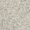 8/0 Glass Seed Beads X2-SEED-A005-3mm-21-2
