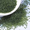 MIYUKI Round Rocailles Beads SEED-G007-RR0350-1