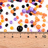 Halloween Theme Glass Seed Beads X-SEED-N007-13J-4