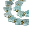 Natural Amazonite Beads Strands G-N371-10A-06-4