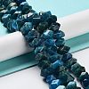 Natural Apatite Beads Strands G-D091-A09-2