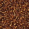 8/0 Glass Seed Beads X1-SEED-A005-3mm-22C-2