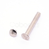 Carbon Steel Snap Rivet Butt Screw STAS-WH0022-24L-P-1