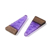 Resin & Wood Pendants WOOD-F015-03E-2