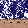 15/0 Transparent Czech Glass Seed Beads SEED-N004-004-15-6