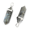 Natural Labradorite Double Terminated Pointed Pendants G-F295-05N-2