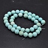 Natural Howlite Beads Strands TURQ-P027-17-8mm-2