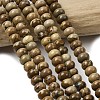Natural Picture Jasper Beads Strands G-A280-A03-01-1