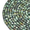 Natural African Turquoise(Jasper) Beads Strands G-P575-B20-4x2mm-3