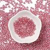 Glass Seed Beads SEED-H002-C-A042-2