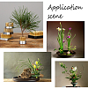 Japanese Ikebana Kenzan Flower Frog AJEW-PH0016-67-7