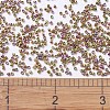 MIYUKI Delica Beads X-SEED-J020-DB0507-4
