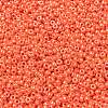 MIYUKI Round Rocailles Beads SEED-JP0009-RR0424-3