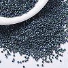 MIYUKI Delica Beads Small SEED-X0054-DBS1052-1