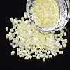 8/0 Two Cut Glass Seed Beads SEED-S033-10A-06-1