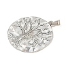 Tibetan Style Alloy Big Pendants PALLOY-V008-03C-AS-2