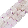 Natural Kunzite Beads Strands G-O170-118-1