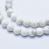 Natural Howlite Beads Strands X-G-P353-01-8mm-3
