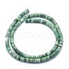 Natural Green Spot Jasper Beads Strands G-F631-A18-5