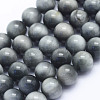 Natural Hawk's Eye Beads Strands G-L478-03-6mm-1