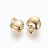 304 Stainless Steel Charms STAS-L233-036G-2