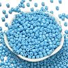 Baking Paint Pearlized Glass Seed Beads SEED-C001-04A-08-2