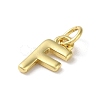 Rack Plating Brass Charms KK-P245-06G-F-2