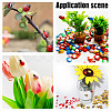 3 Style Wooden Home Display Decorations WOOD-AR0001-34-7