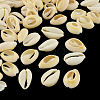 Natural Mixed Cowrie Shell Beads BSHE-S052-01-1
