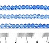 Transparent Painted Glass Beads Strands X1-DGLA-A034-T3mm-A01-3