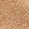 MIYUKI Round Rocailles Beads X-SEED-G008-RR0234-2