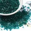 Transparent Glass Seed Beads SEED-S042-21B-02-1