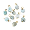 Natural Larimar Pendants PALLOY-JF05952-1