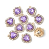Alloy Crystal Rhinestone Charms ALRI-YW0001-01H-1