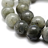 Natural Labradorite Bead Strands X-G-P256-01-6mm-3