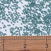 MIYUKI Delica Beads X-SEED-J020-DB1283-4