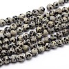 Natural Dalmatian Jasper Round Bead Strands X-G-J303-19-4mm-1