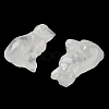 Natural Quartz Crystal Carved Dog Figurines DJEW-L023-A03-2