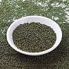 MIYUKI Round Rocailles Beads X-SEED-G007-RR0307-2