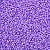13/0 Glass Seed Beads SEED-T005-14A-A17-3