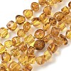 Natural Amber Beads Strands G-L095-E01-07-2