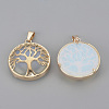 Opalite Pendants G-S292-10N-G-2