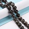Natural Black Moonstone Beads Strands G-J157-12mm-05-2
