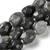 Natural Labradorite Beads Strands G-C105-A02-01-1