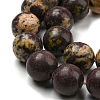 Natural Cherry Blossom Jasper Beads Strands G-C079-A02-05-4