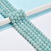 Grade A Natural Amazonite Beads Strands G-C046-01D-2